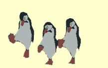 penguinani